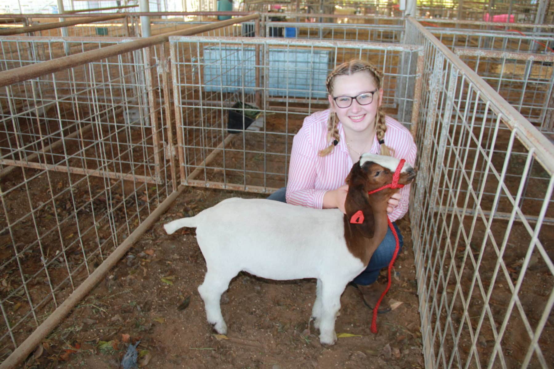 MCH students gain experience at local livestock shows - Methodist  Children's Home